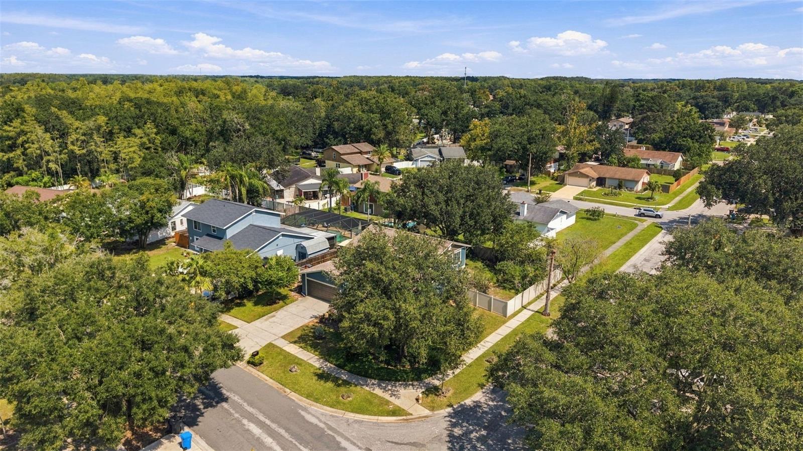 15801 COUNTRY LAKE DR — photo 45