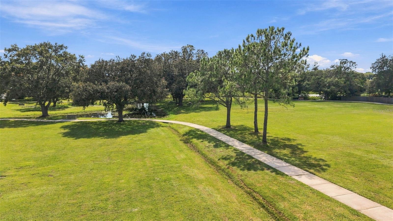 15801 COUNTRY LAKE DR — photo 50