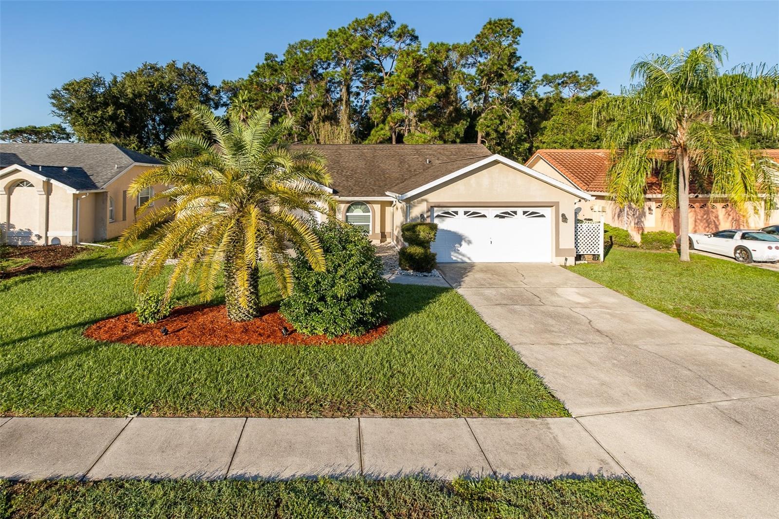 5343 SAGAMORE CT — photo 3