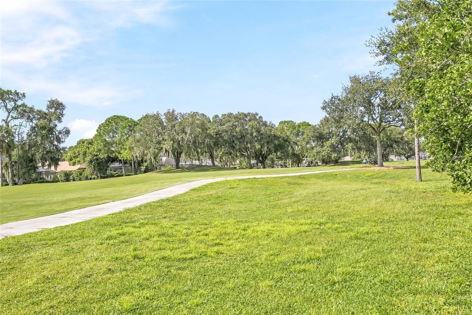 3230 STONEBRIDGE TRL — photo 49