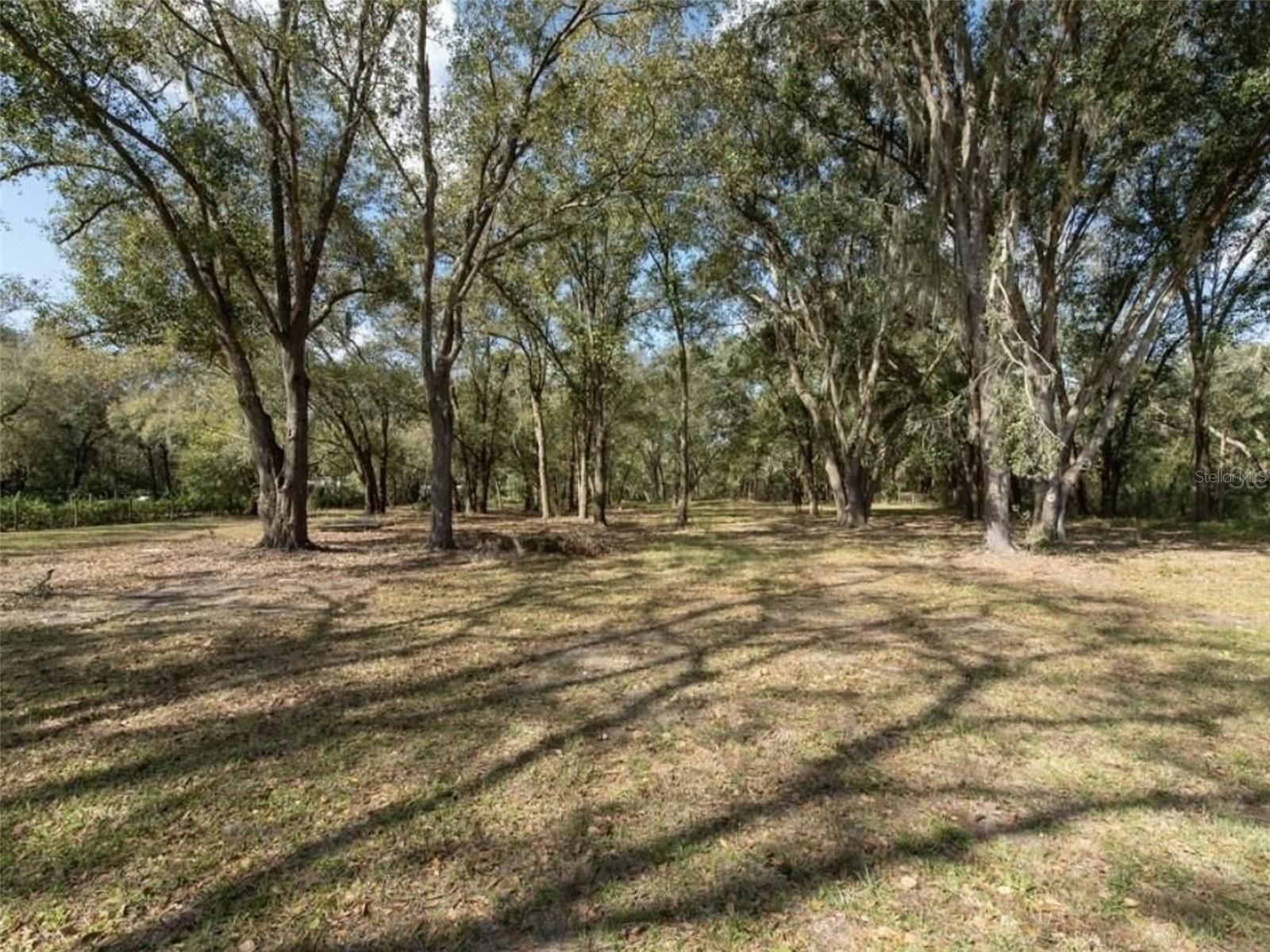 6513 S COUNTY LINE RD — photo 9