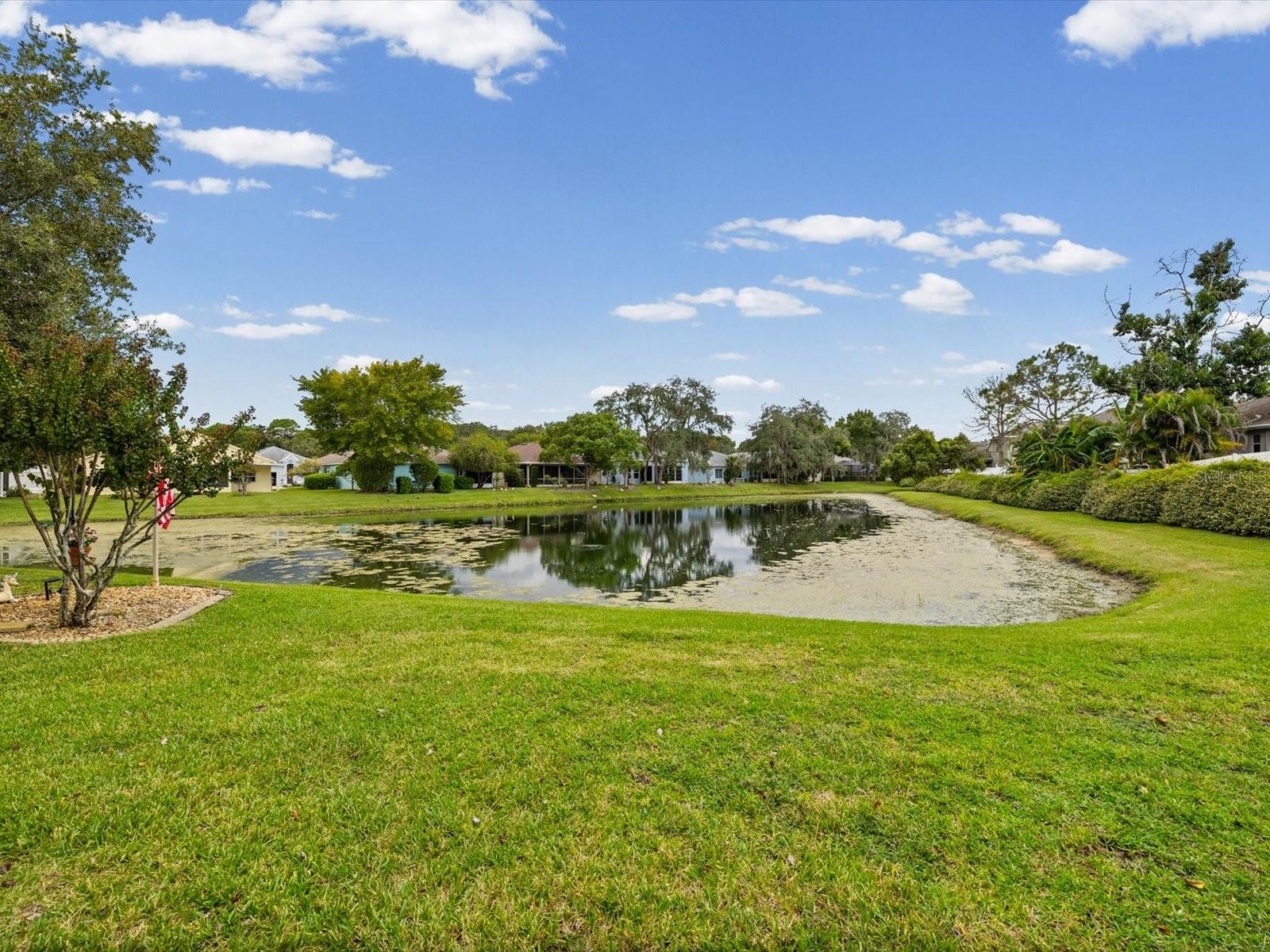 11829 IVYWOOD PL — photo 39