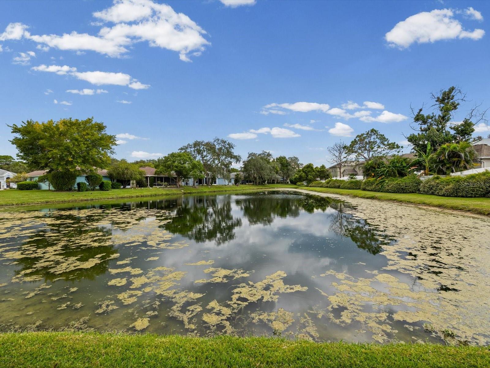 11829 IVYWOOD PL — photo 42