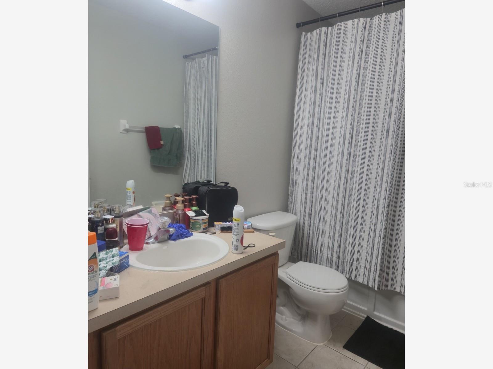 239 CASTLEKEEPER PL — photo 23