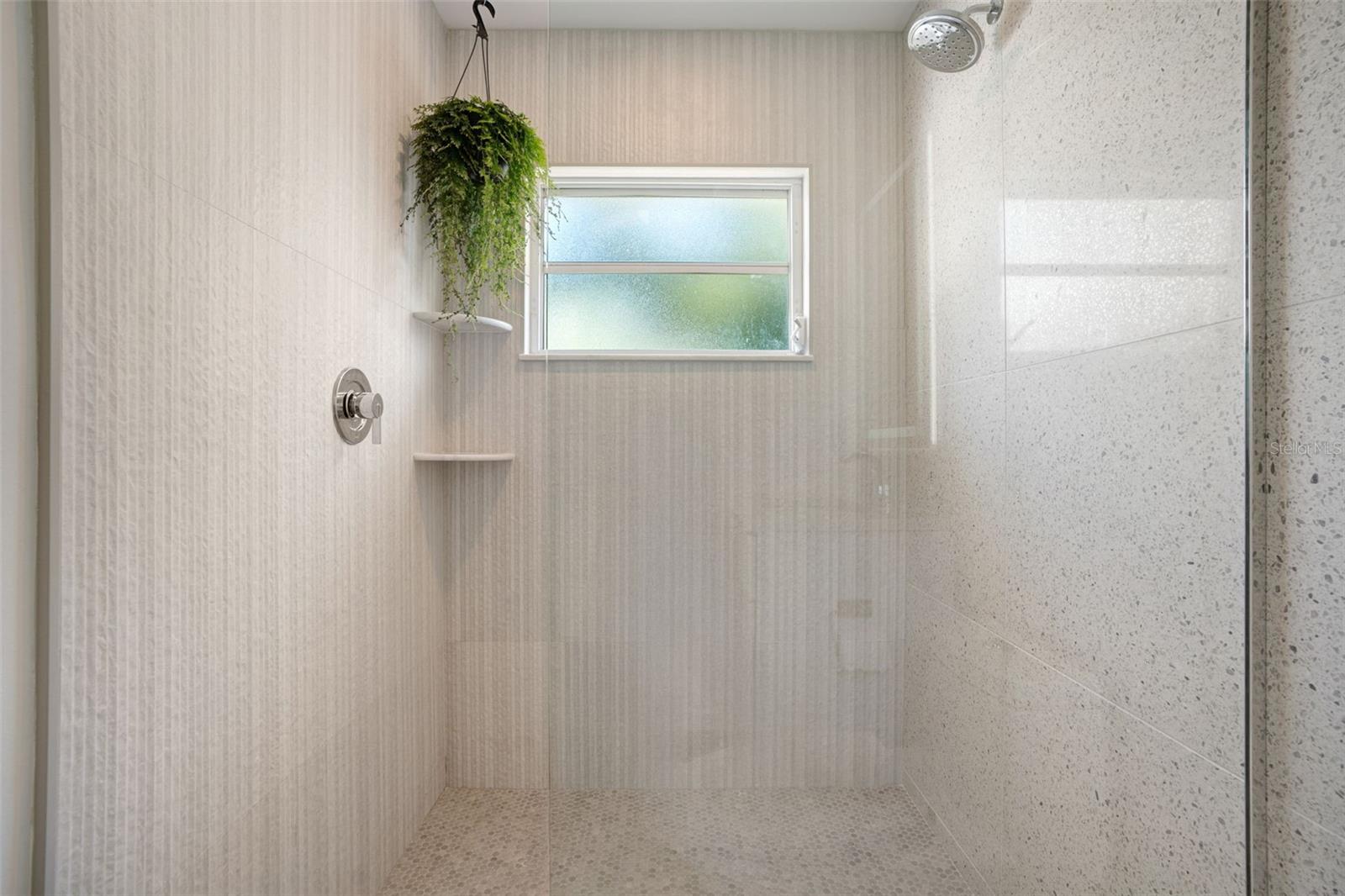 2482 WISTERIA ST — photo 31