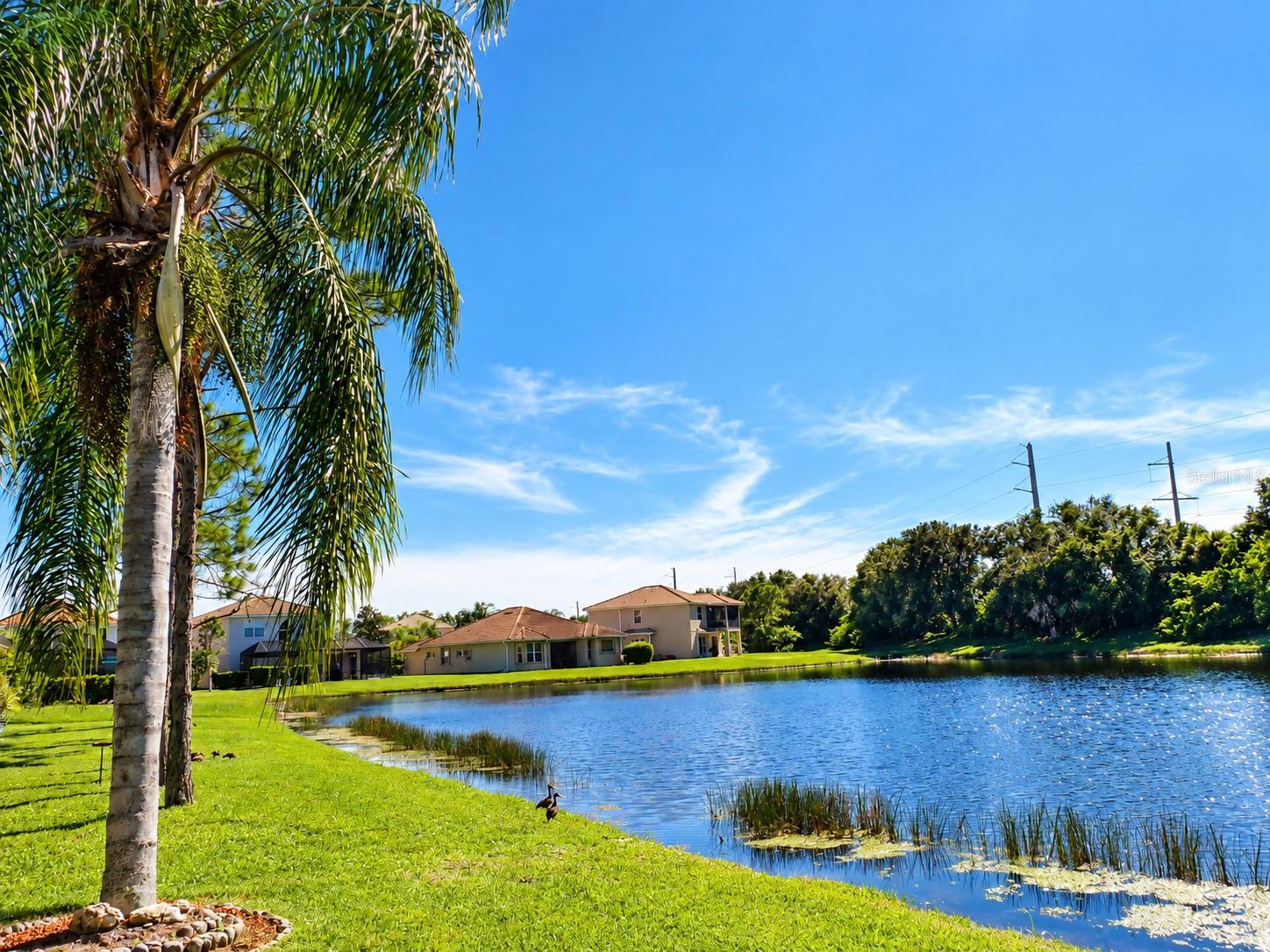 11500 DANCING RIVER DR — photo 10
