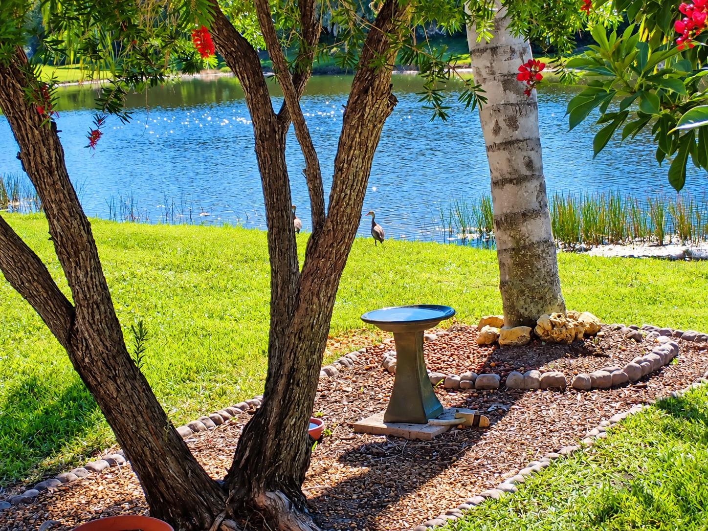 11500 DANCING RIVER DR — photo 9