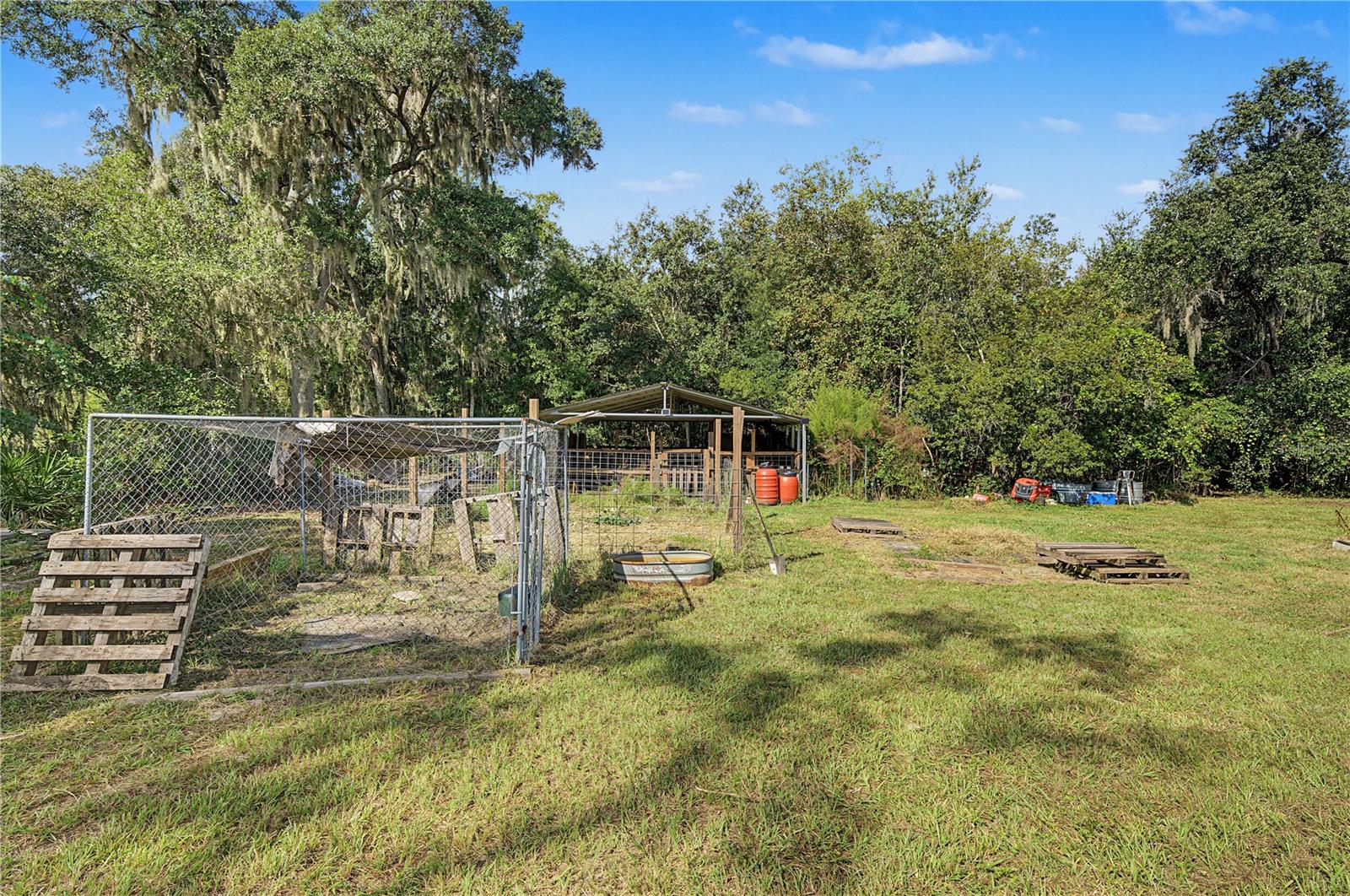 30436 CALLE LN — photo 35