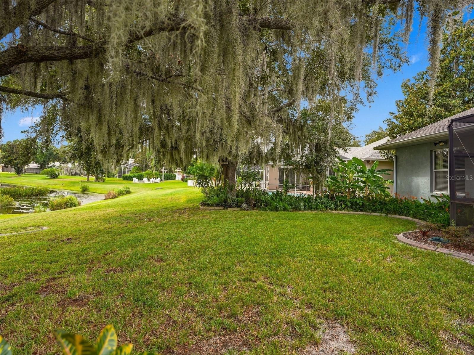 19621 LAKE OSCEOLA LN — photo 42