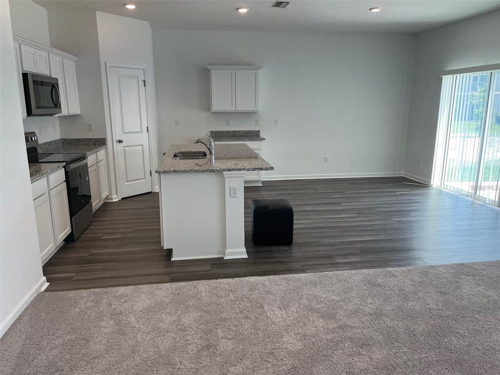 35482 SHADE FERN LN — photo 3