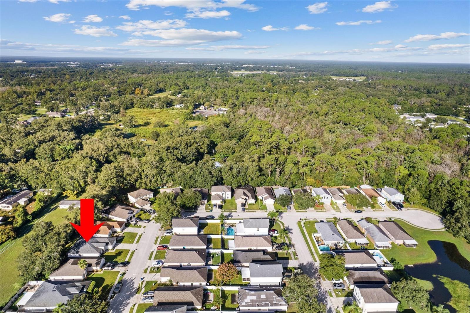 30260 BIRDHOUSE DR — photo 30