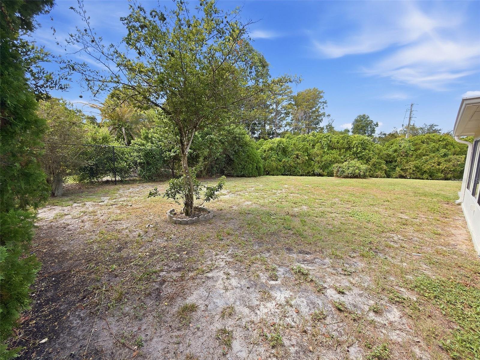 7010 ORCHID LAKE RD — photo 32