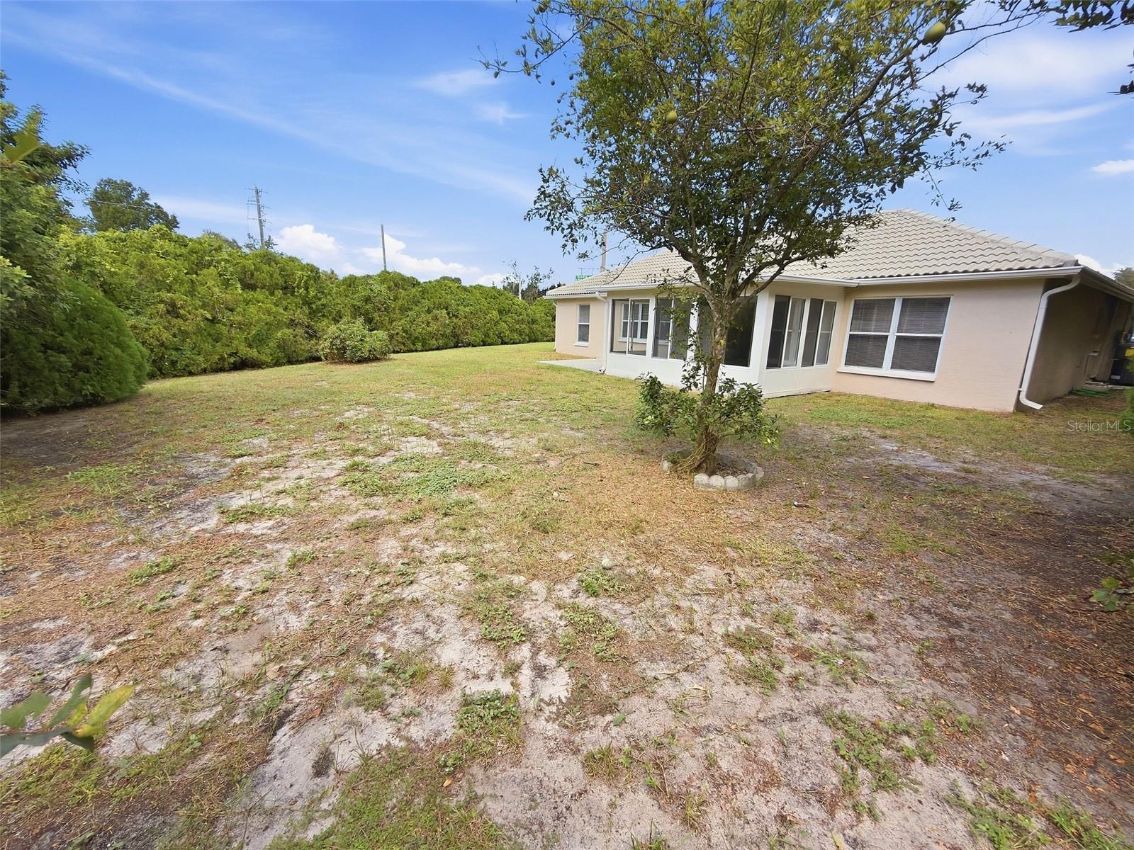 7010 ORCHID LAKE RD — photo 31