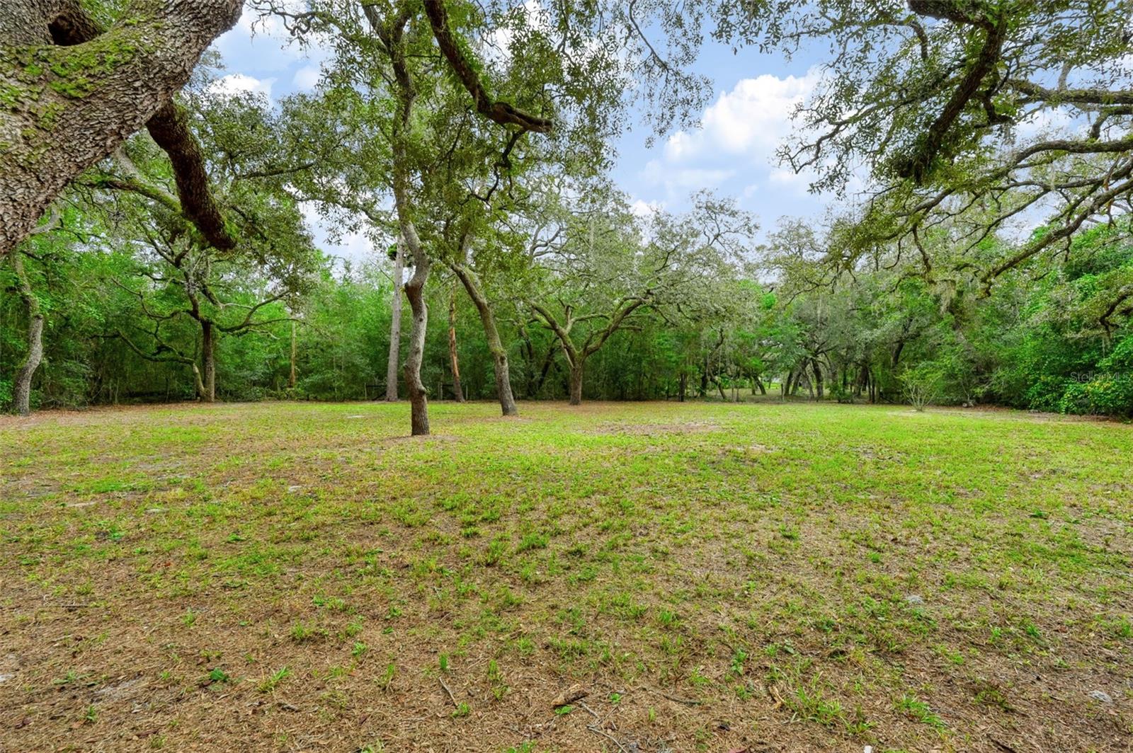 14100 LITTLE RANCH RD — photo 33