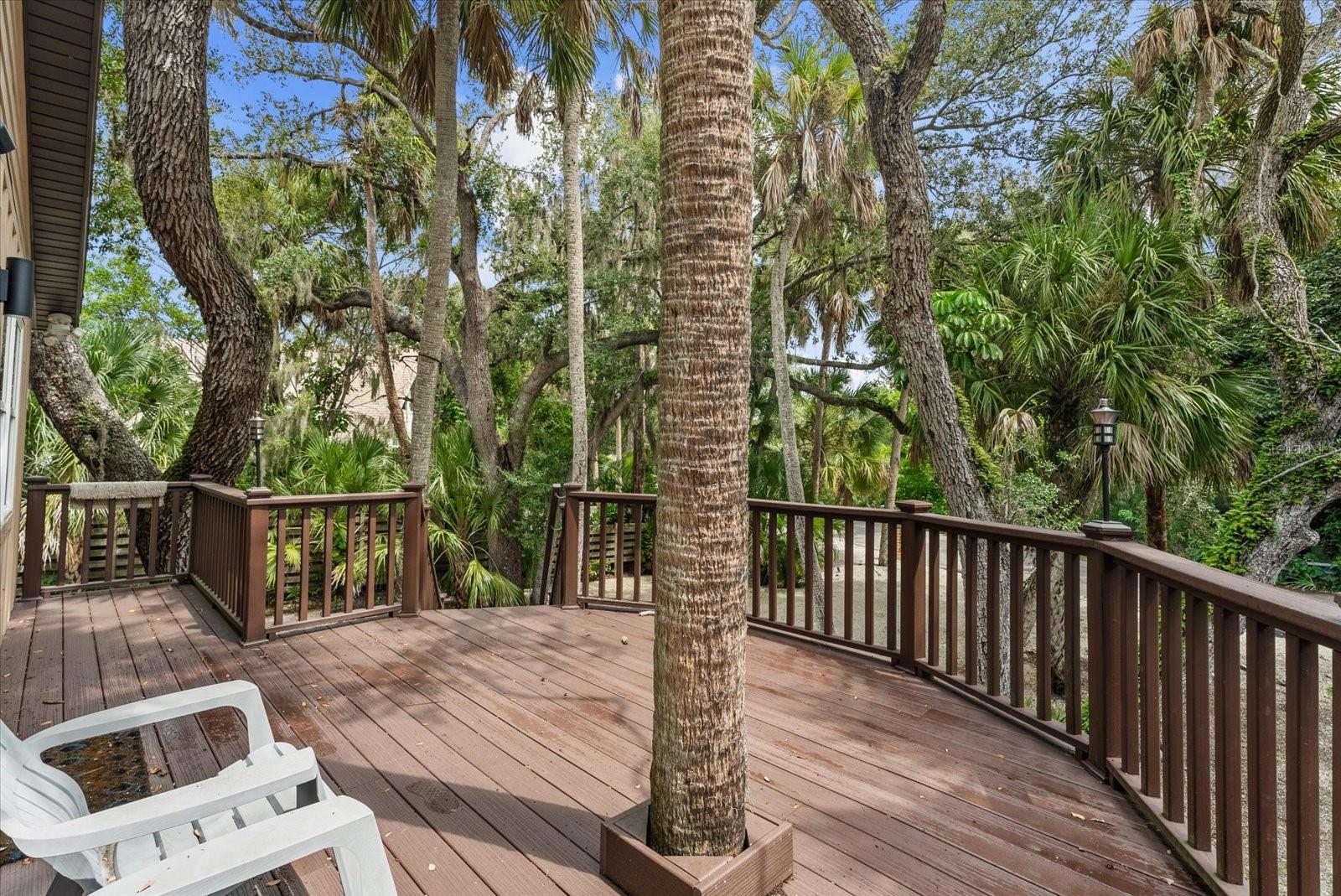 3376 S SECLUSION DR — photo 28