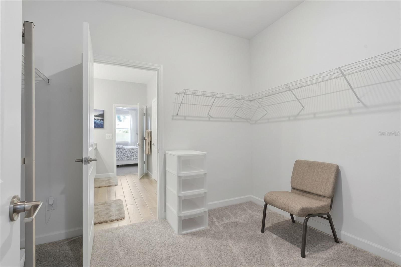 31493 CANNON RUSH DR — photo 19