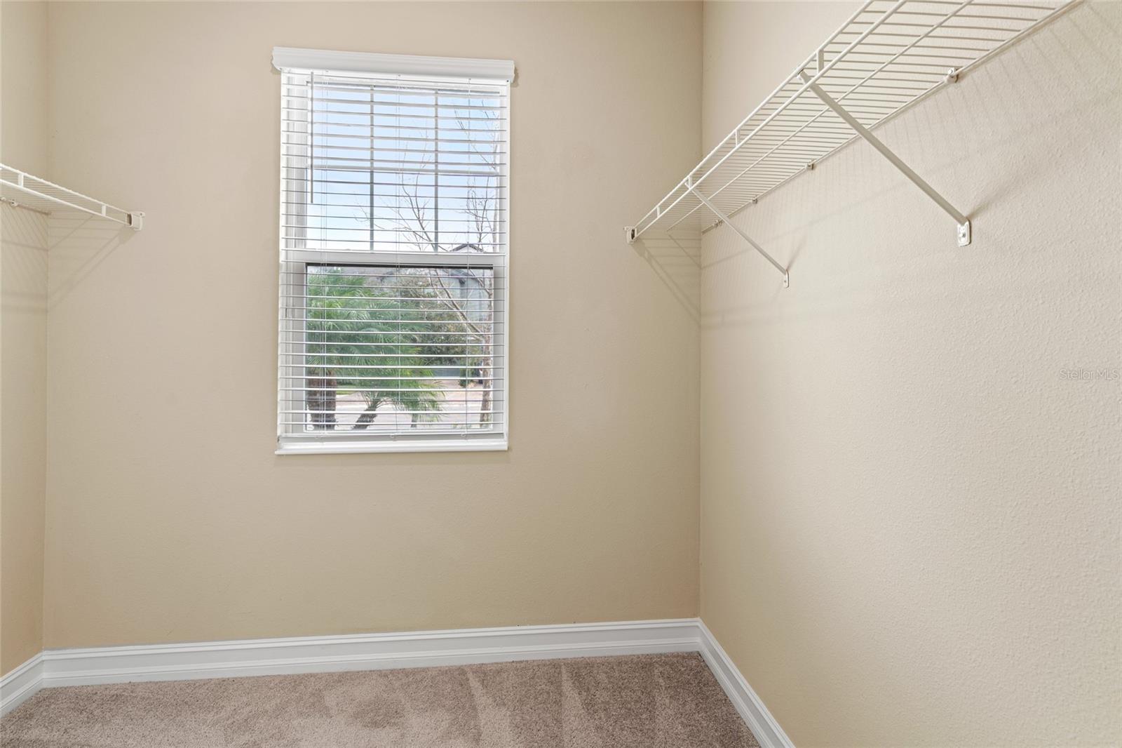 4896 SAN MARTINO DR — photo 21