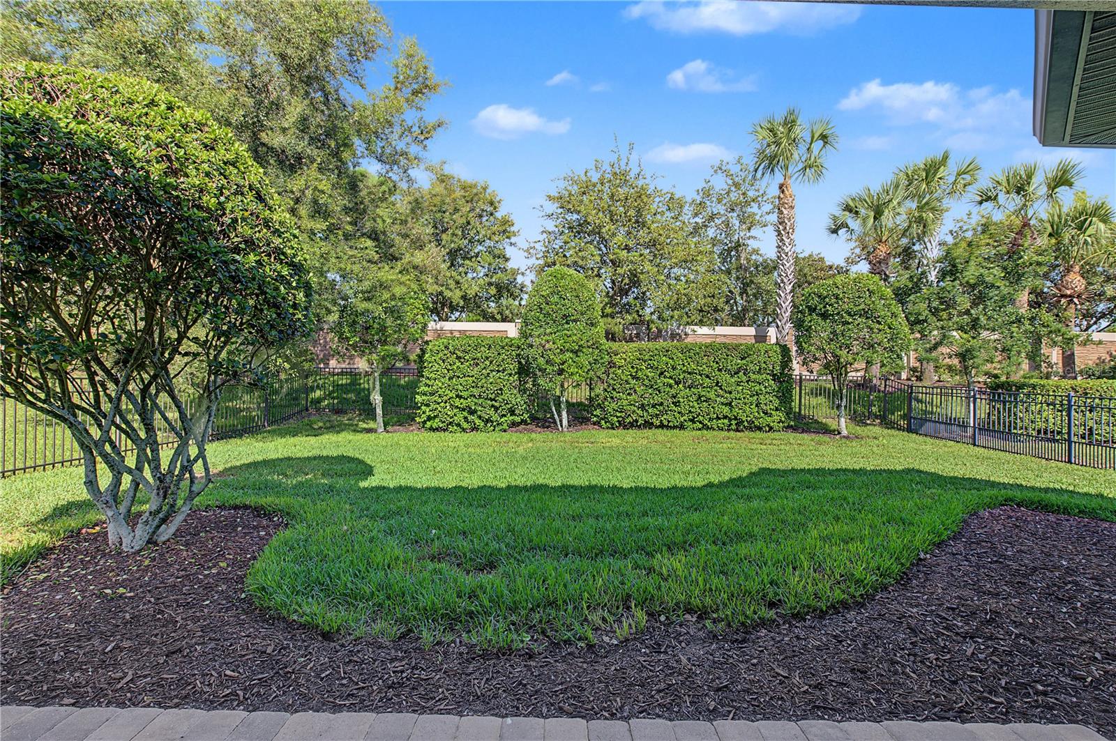 11435 CALLISIA DR — photo 36