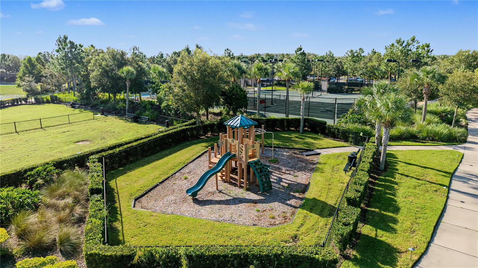 11435 CALLISIA DR — photo 47