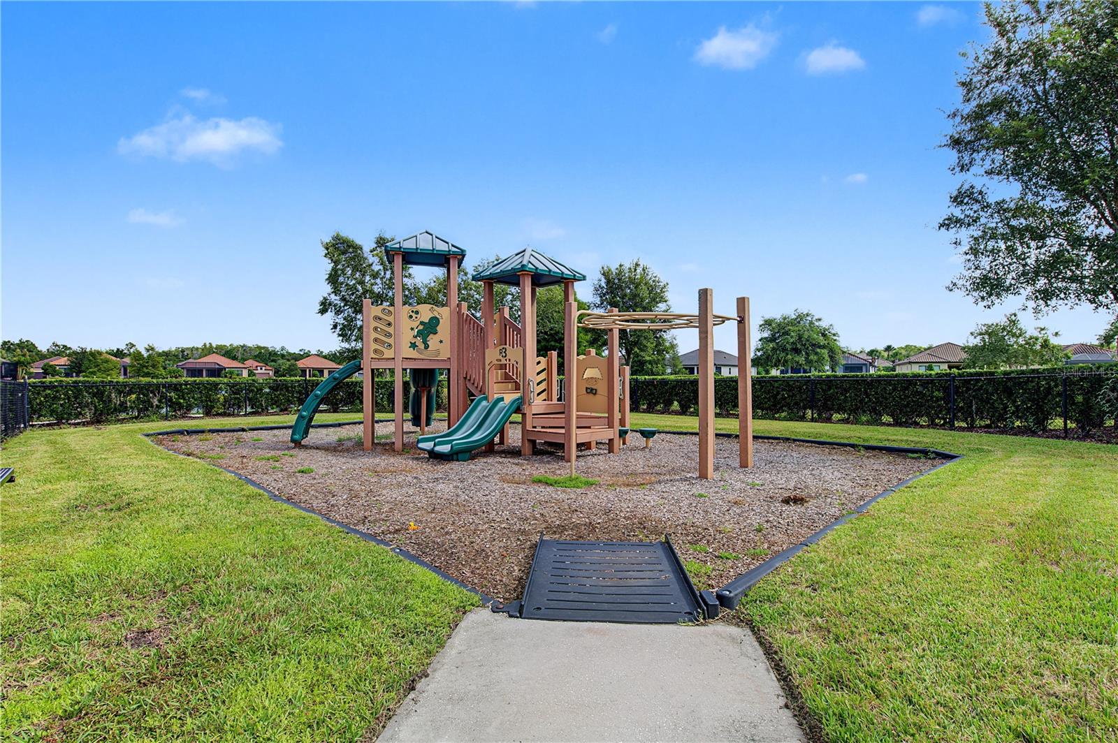 11435 CALLISIA DR — photo 44