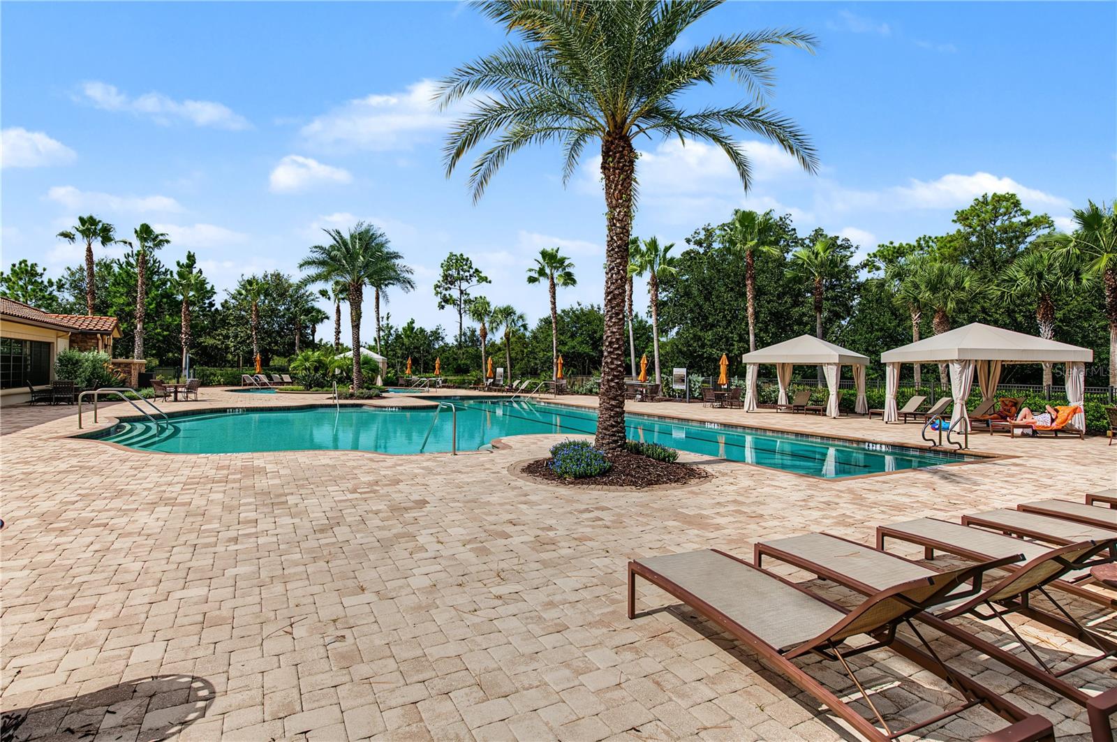 11435 CALLISIA DR — photo 41