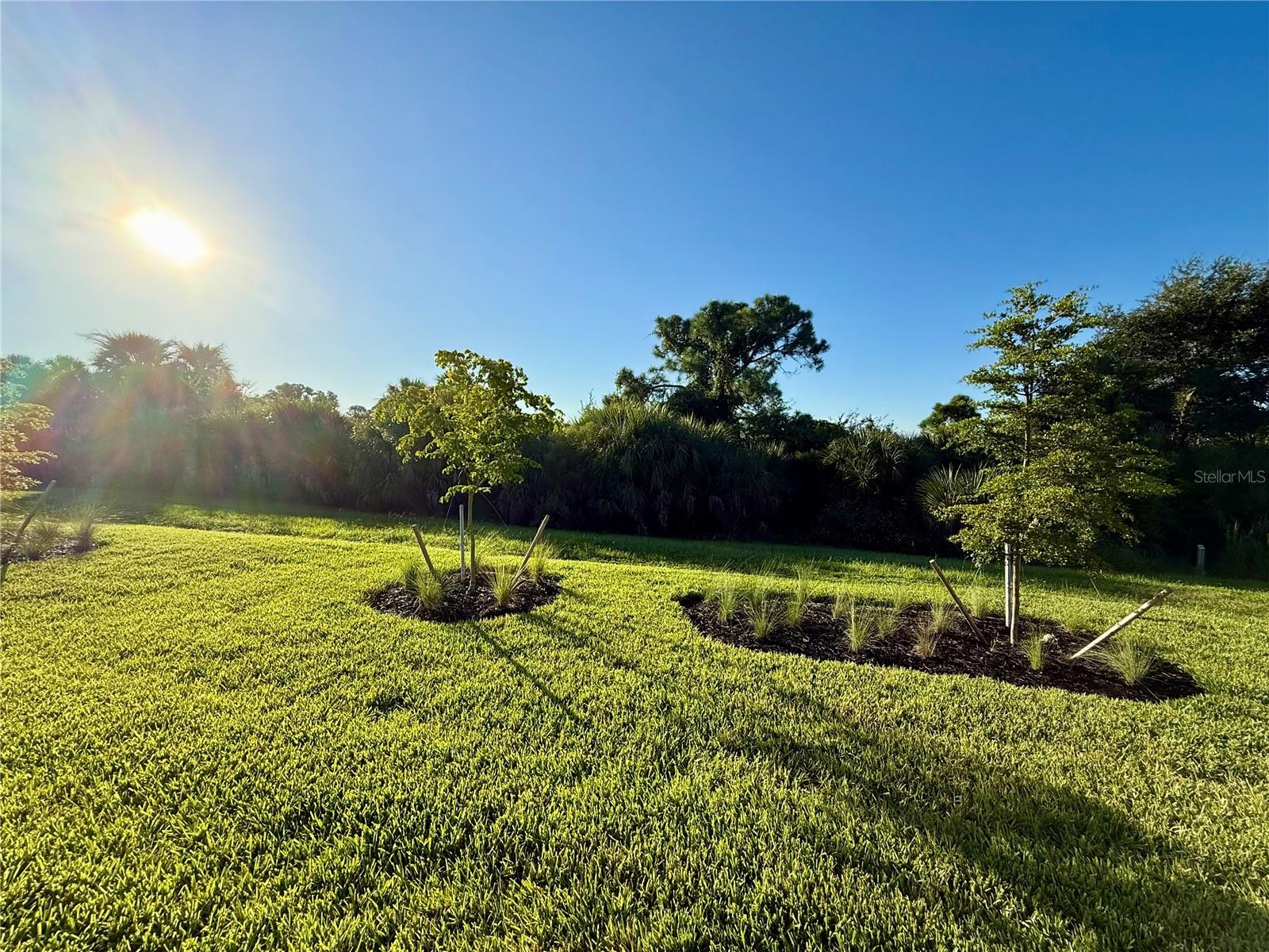 5834 TALON PRESERVE DR — photo 20