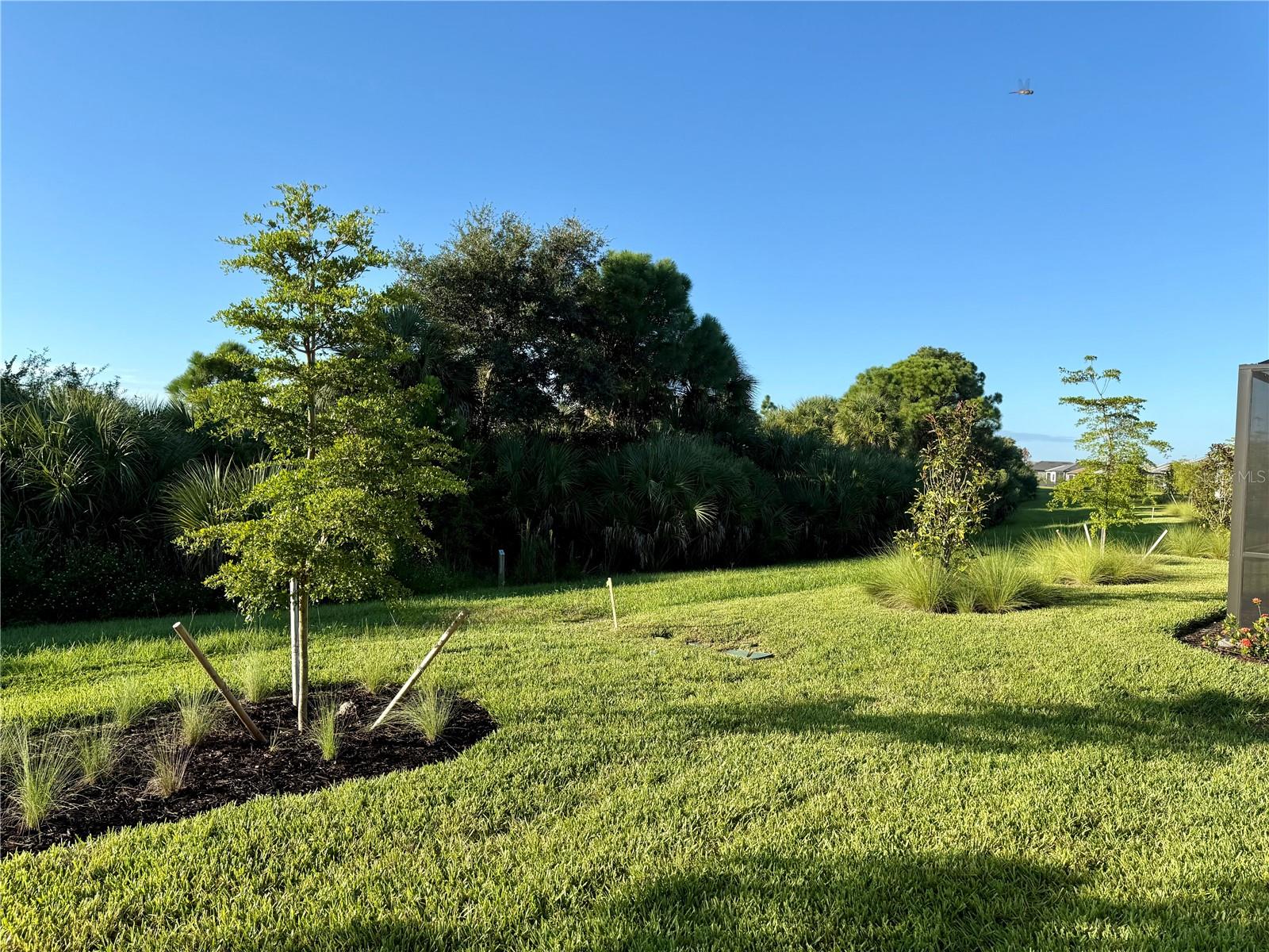 5834 TALON PRESERVE DR — photo 19