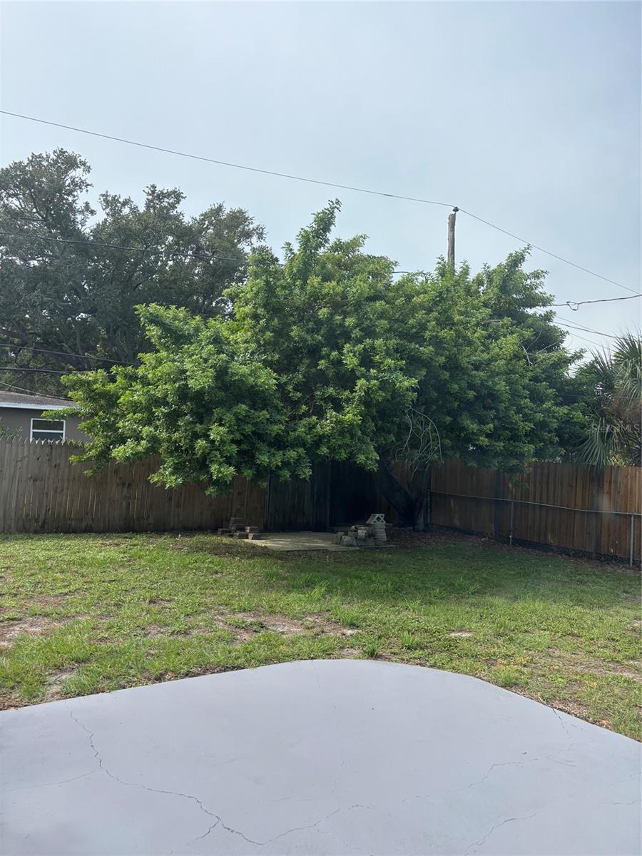 1541 BONAIR ST — photo 23