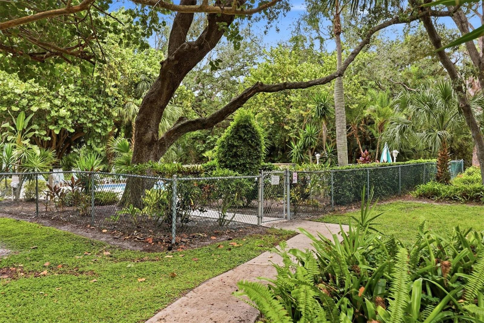 509 LAKESIDE DR #509 — photo 40