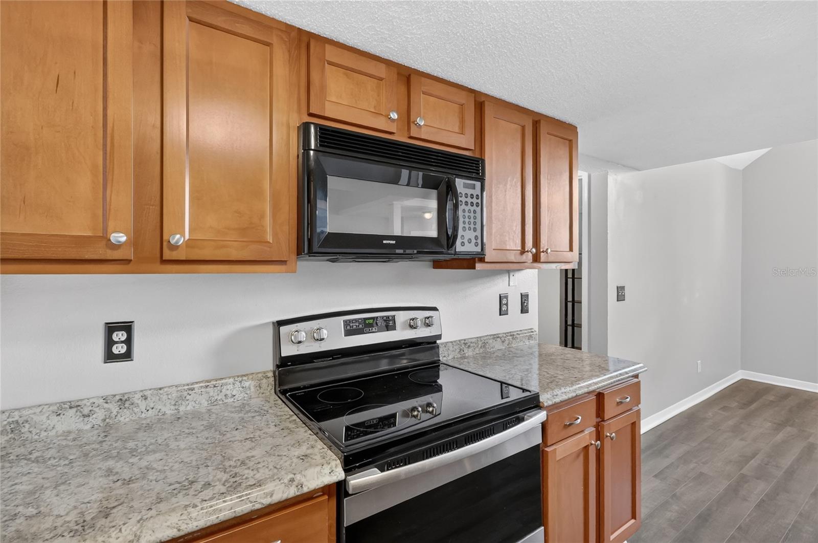 12145 ARMENIA GABLES CIR — photo 23