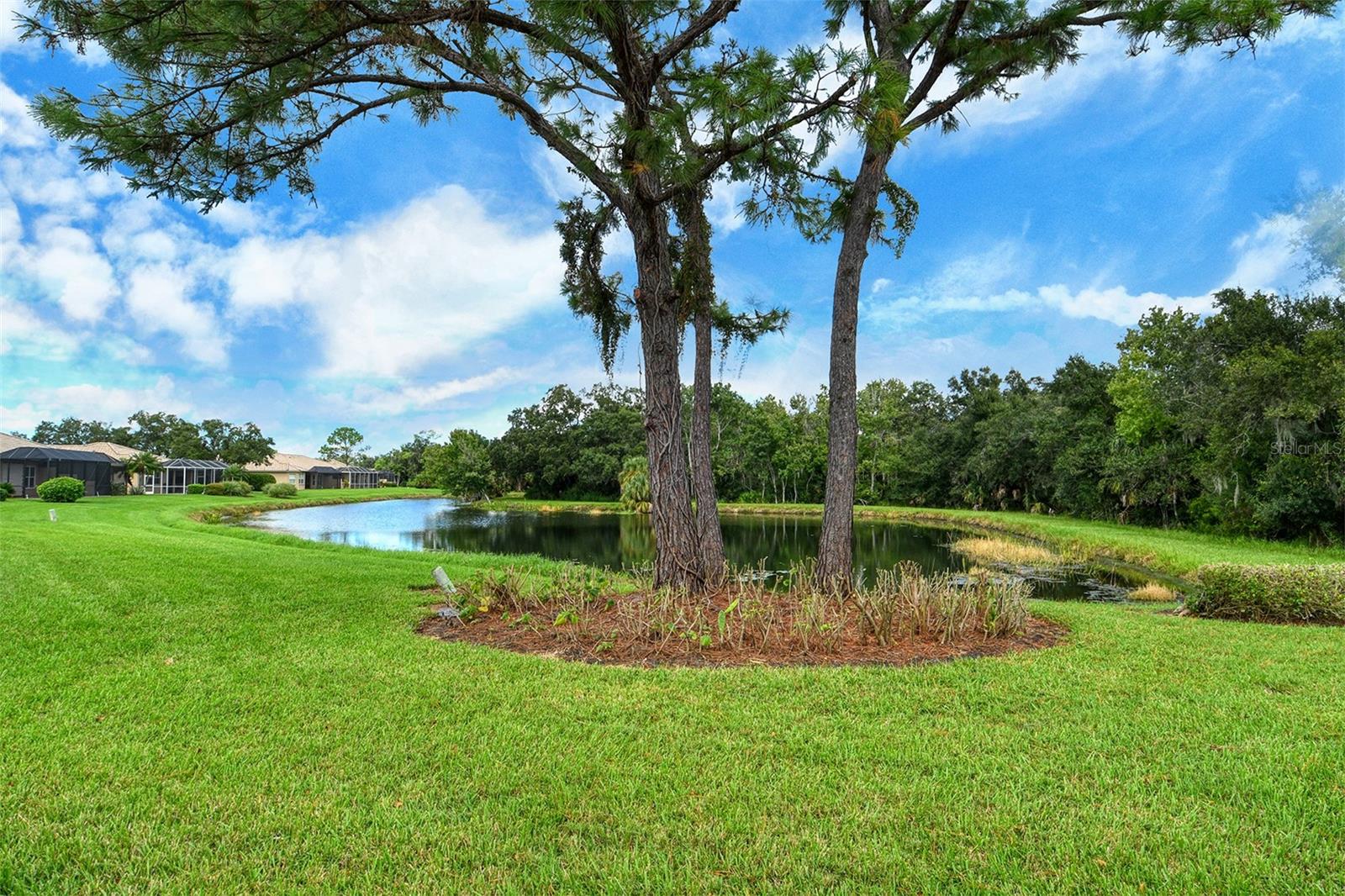 4536 LEGACY CT — photo 39