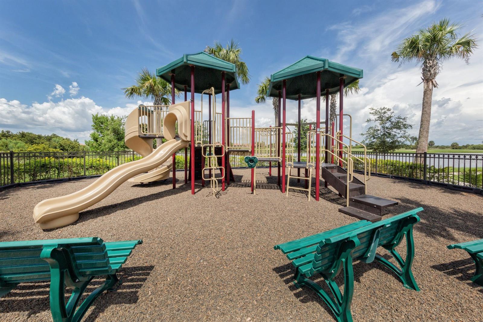 10422 MEDJOOL DR — photo 65