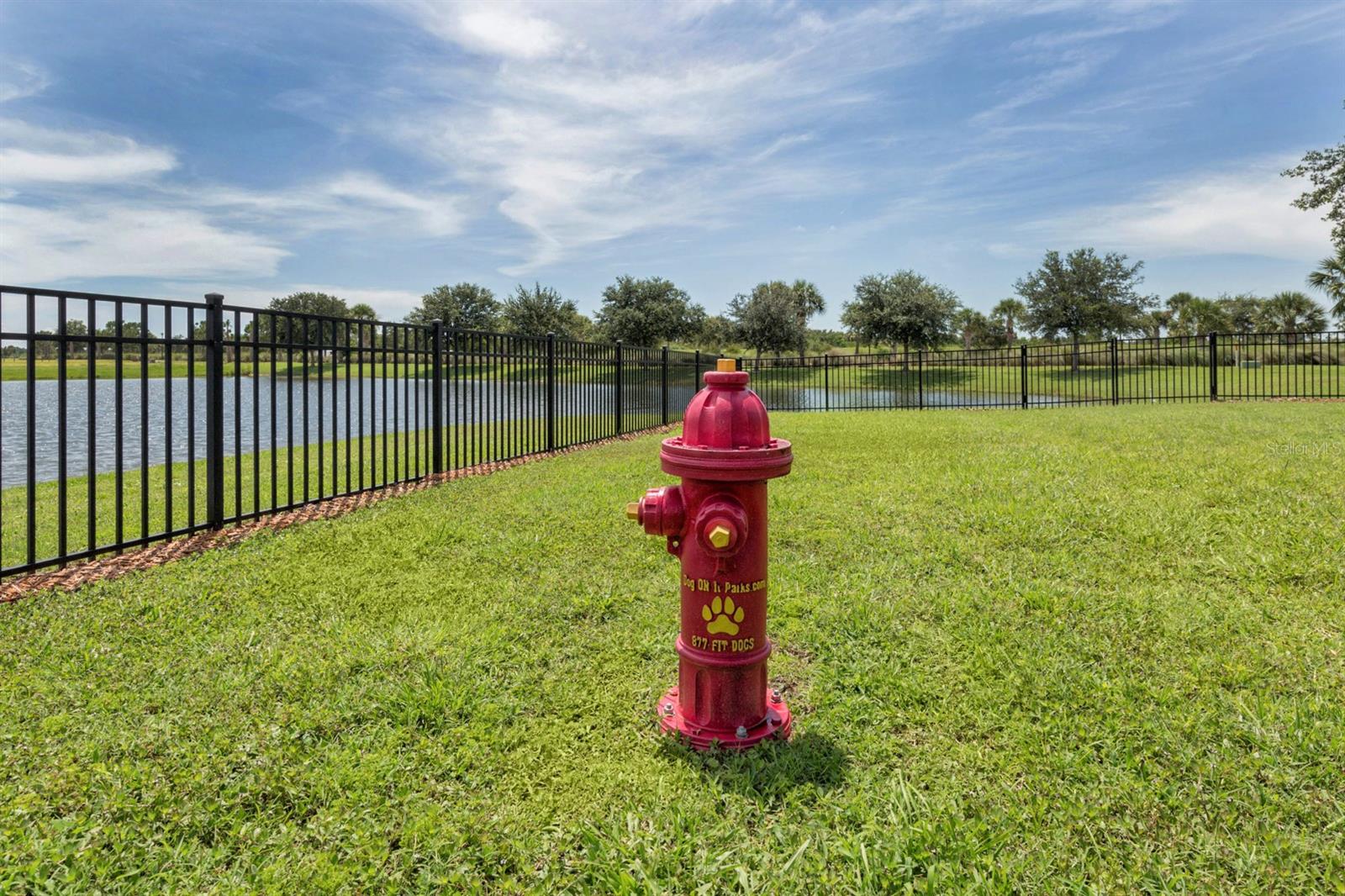 10422 MEDJOOL DR — photo 55