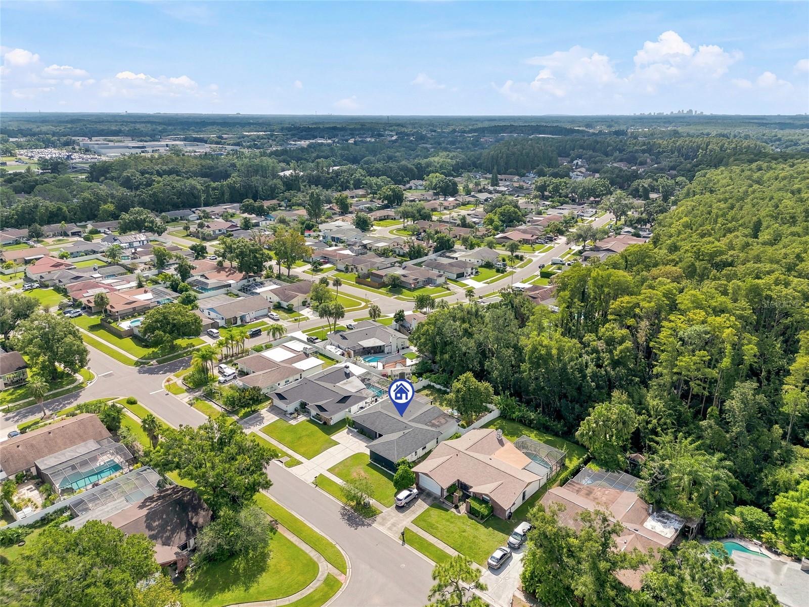 4206 WINDTREE DR — photo 49