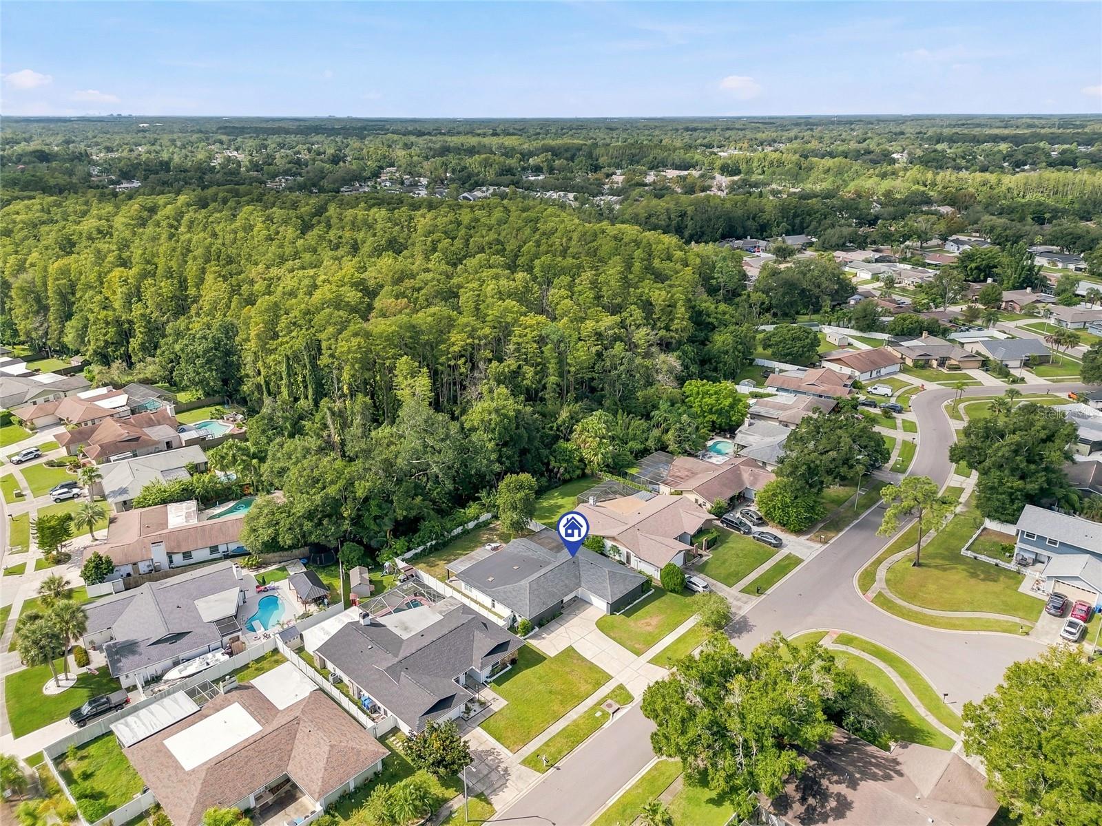 4206 WINDTREE DR — photo 48