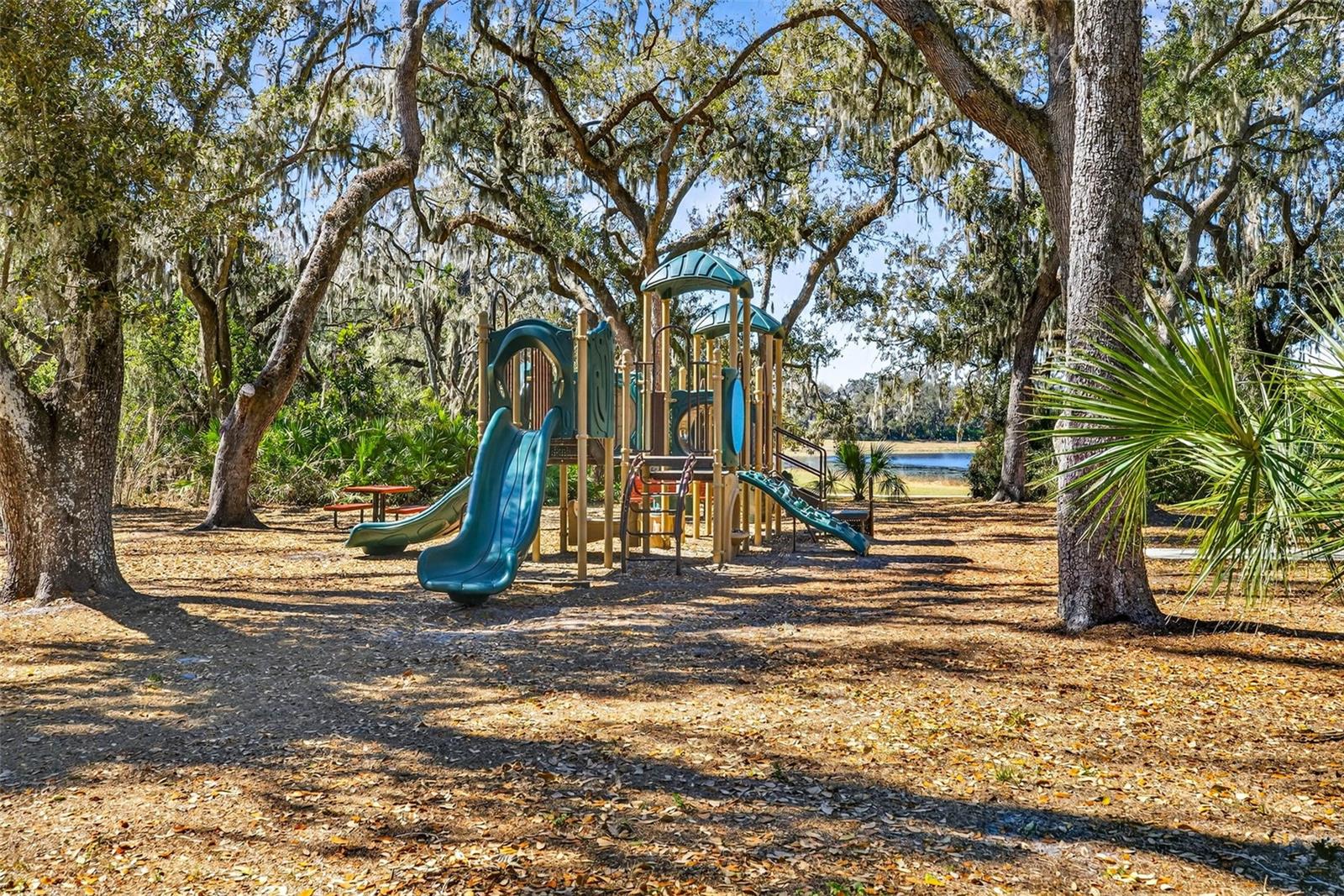 14310 BARRINGTON STOWERS DR — photo 62