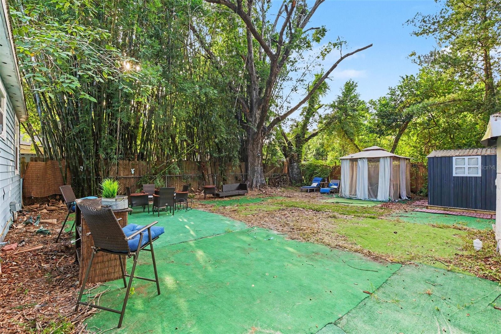 919 E BOUGAINVILLEA AVE — photo 17