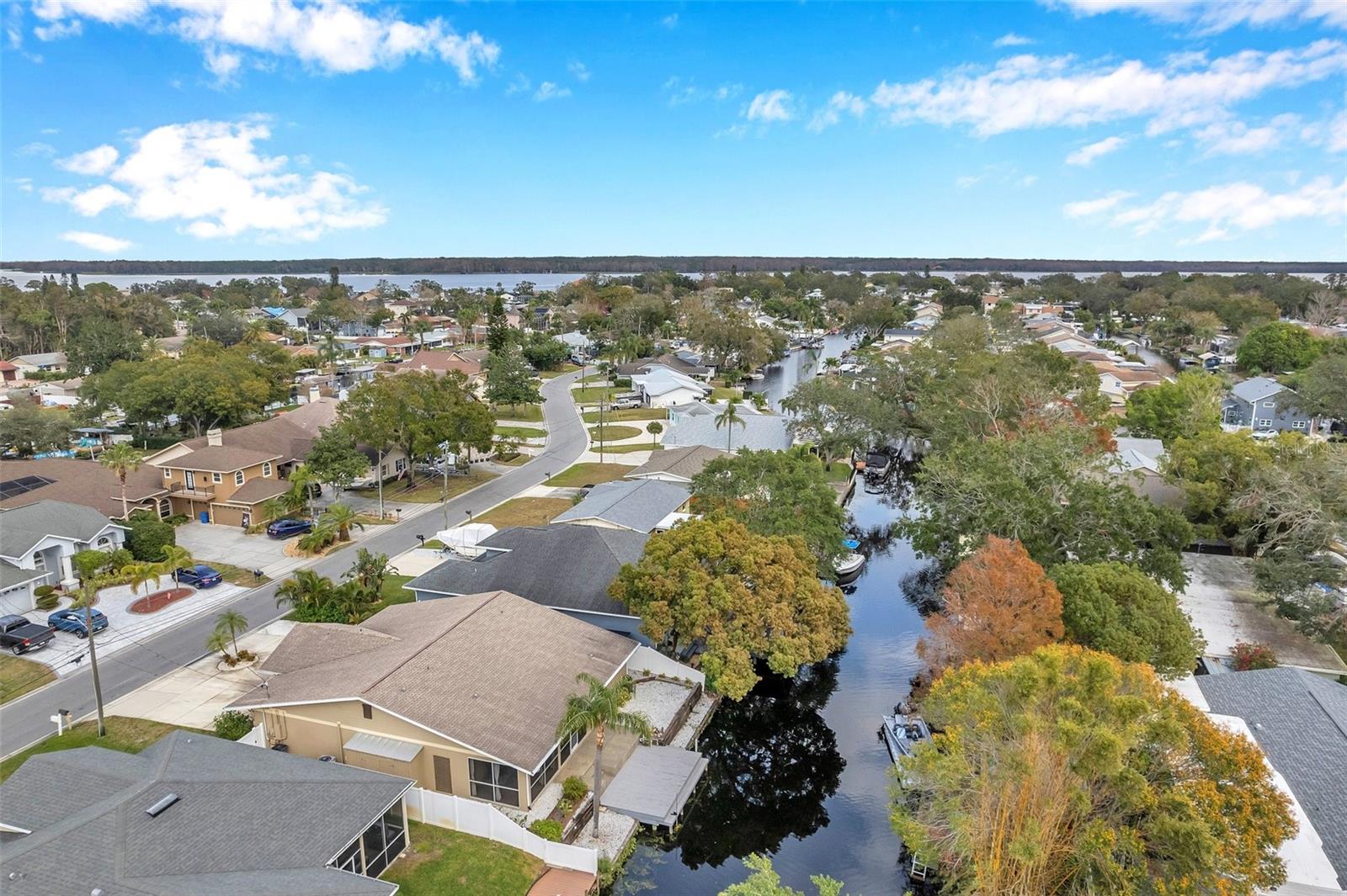8 CITRUS DR — photo 84