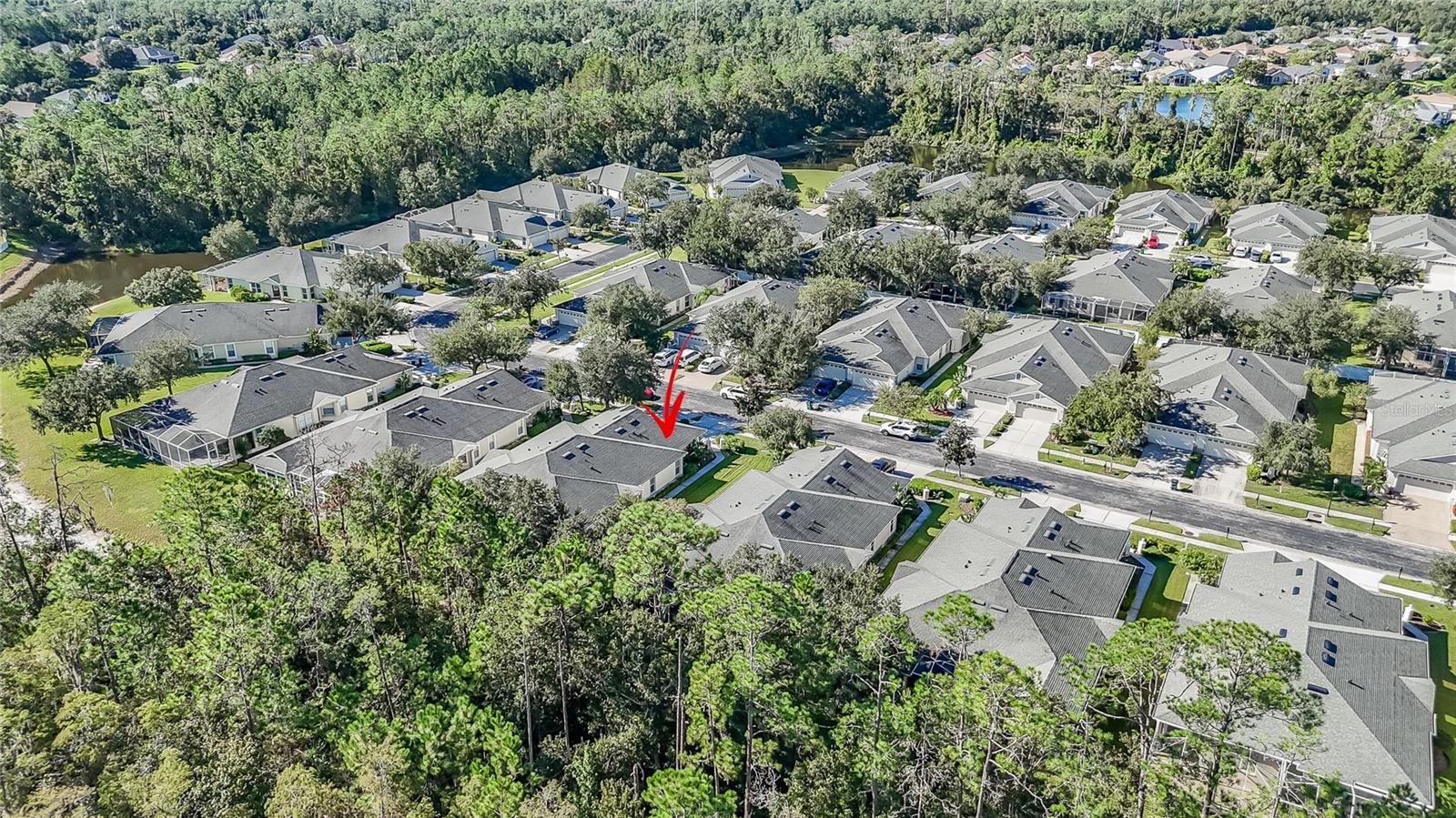 3428 CHAPEL CREEK CIR — photo 22