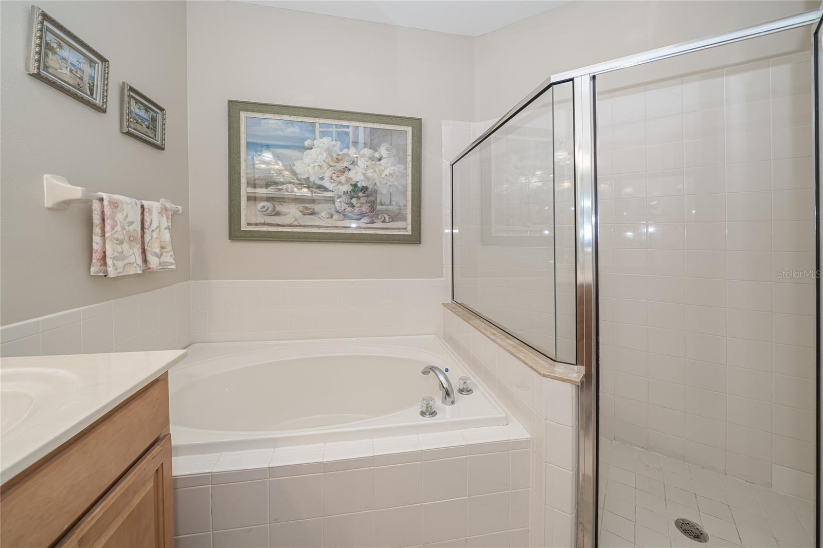 3428 CHAPEL CREEK CIR — photo 13