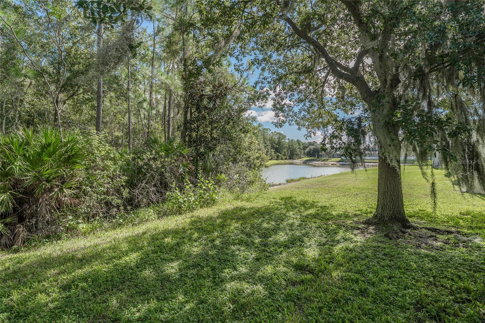 3428 CHAPEL CREEK CIR — photo 8