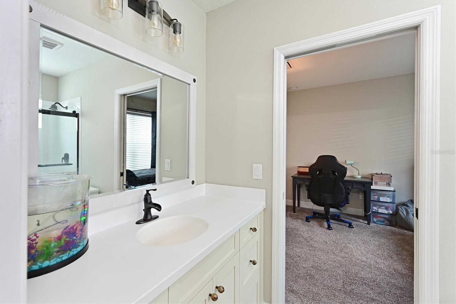 3522 SHIMMERING OAKS DR — photo 18
