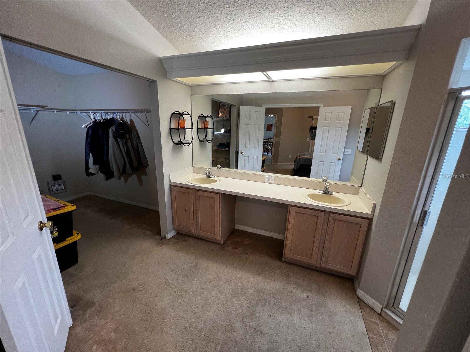 27606 SKY LAKE CIR — photo 48