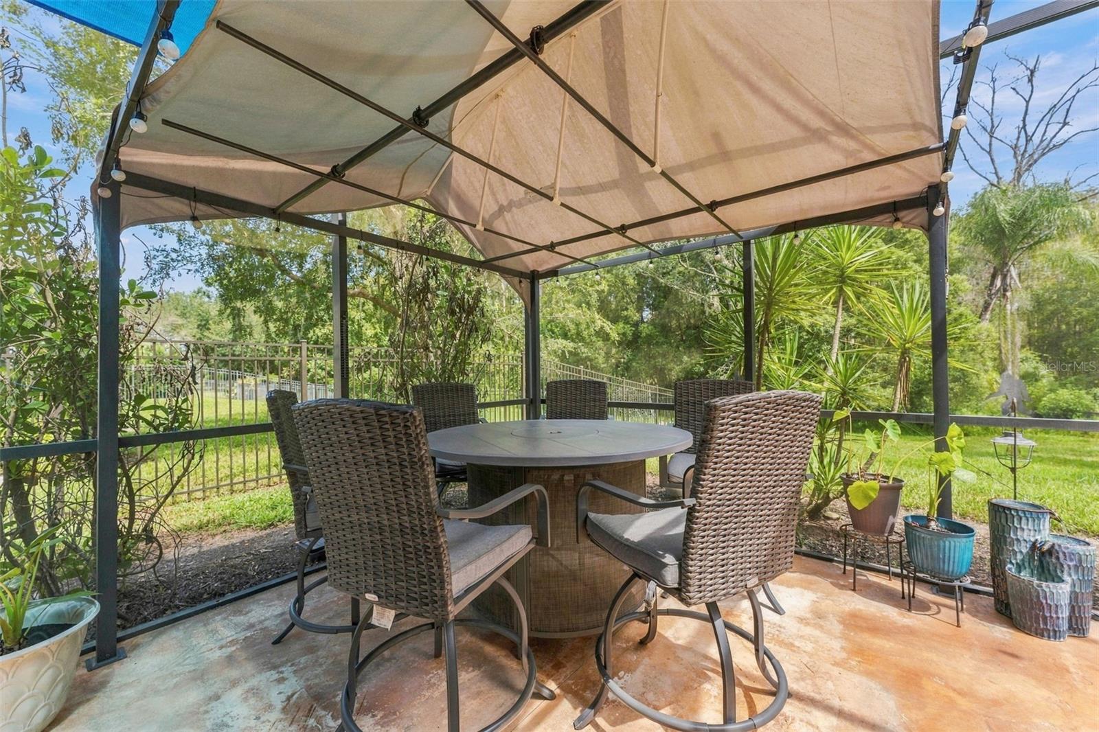 3508 MAJESTIC VIEW DR — photo 53