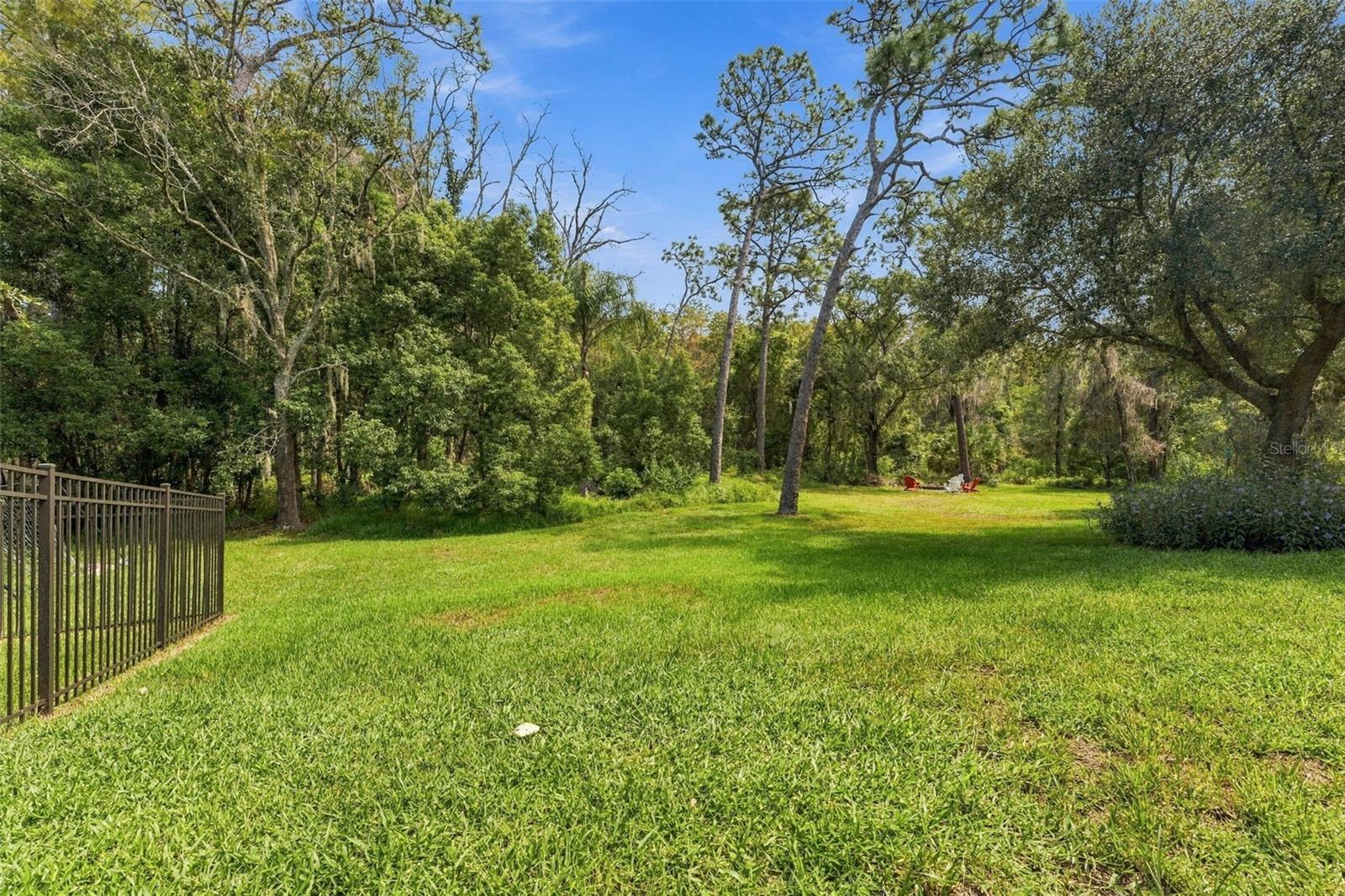 3508 MAJESTIC VIEW DR — photo 59