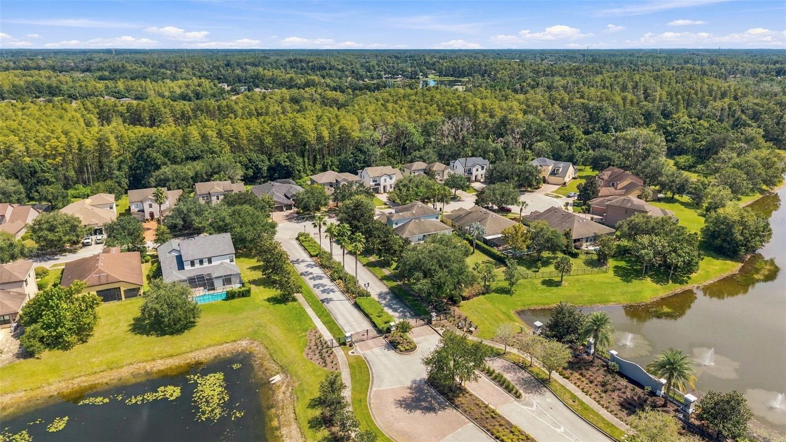 3508 MAJESTIC VIEW DR — photo 64