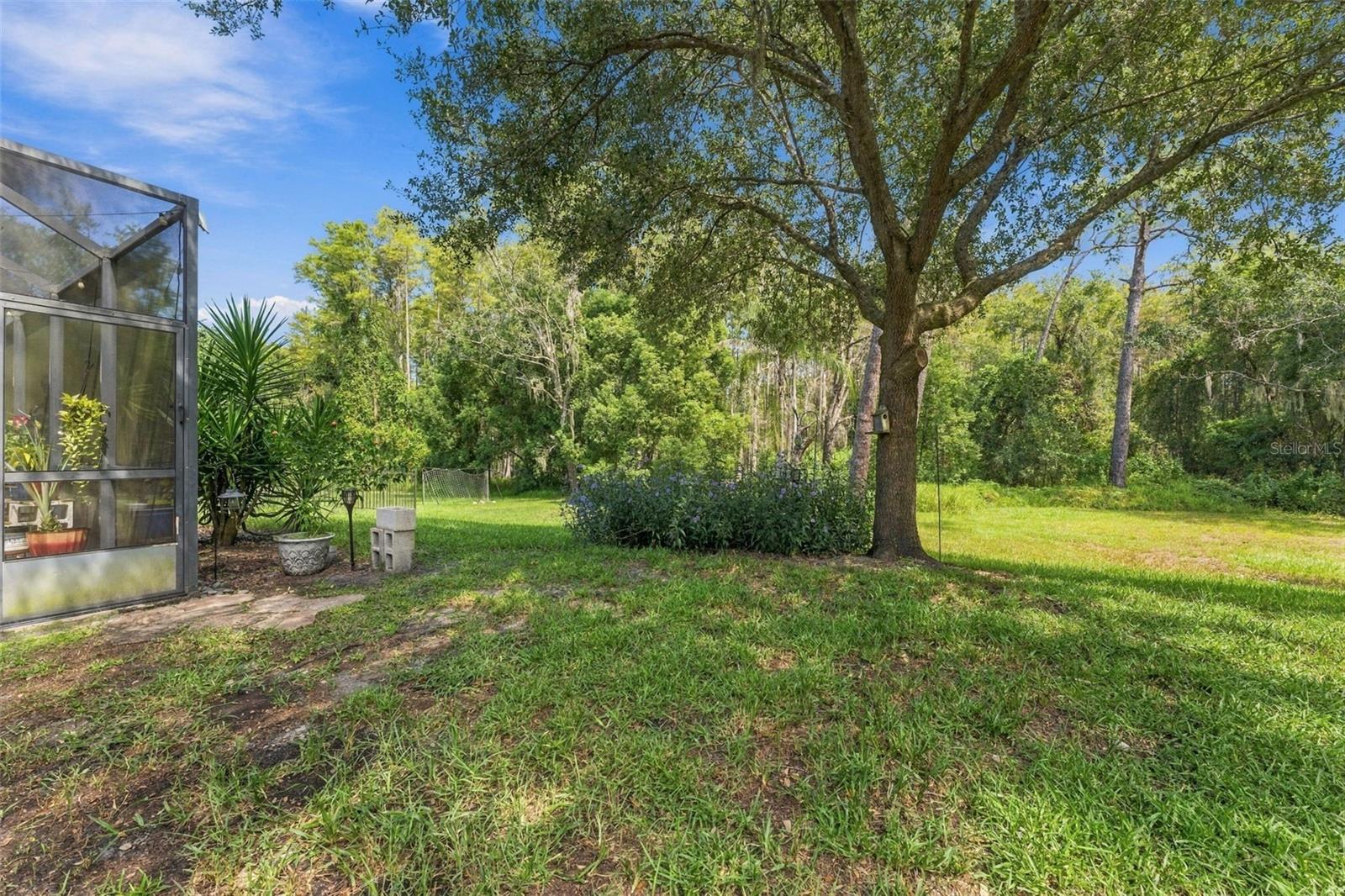 3508 MAJESTIC VIEW DR — photo 58