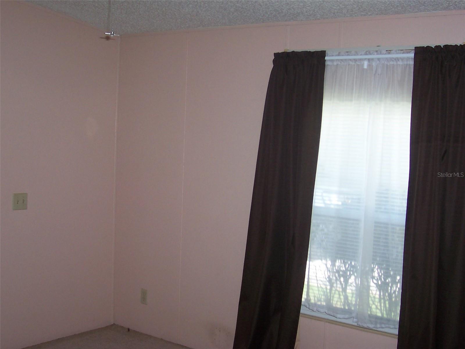 Home in WESLEY CHAPEL — photo 14