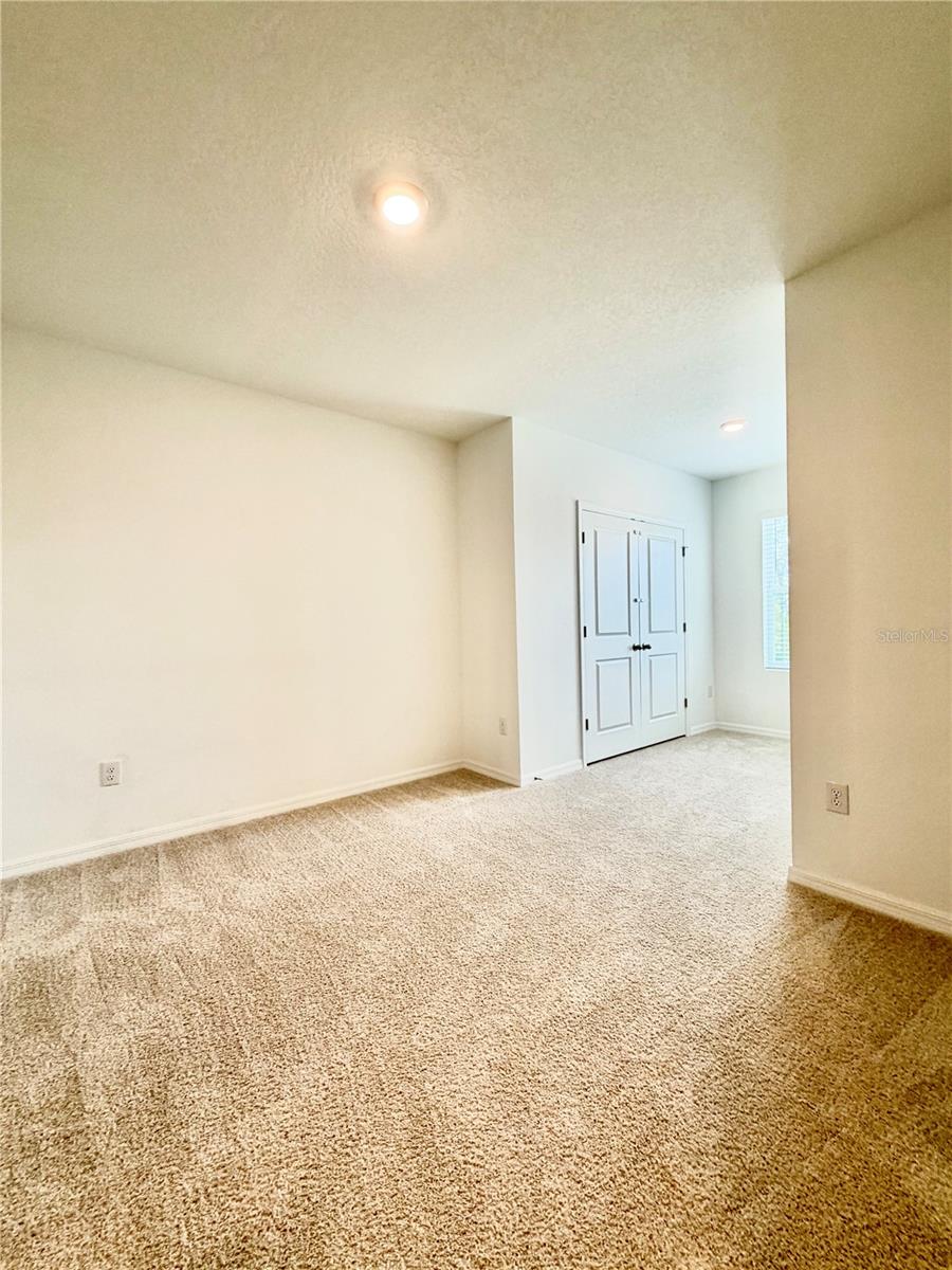 11407 VELVET APRICOT DR — photo 36