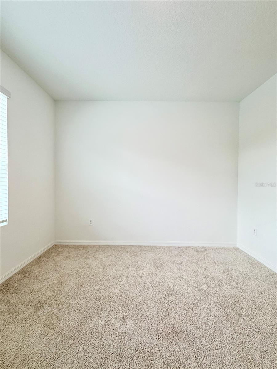 11407 VELVET APRICOT DR — photo 40